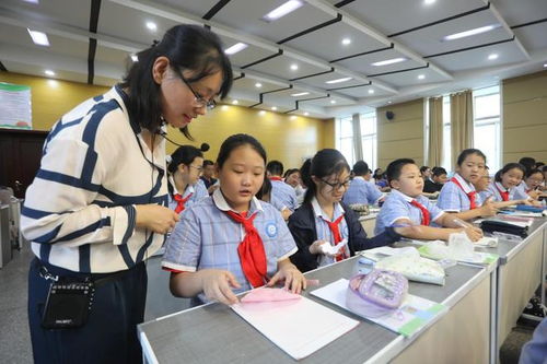 師范熱是否降溫？錄取分數線下滑的趨勢解析與行業應對之道